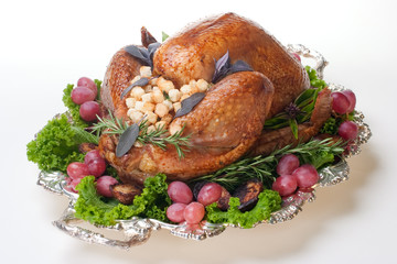 Holiday turkey on white