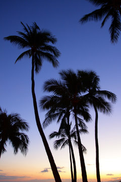 Waikiki Beach at night (Honolulu, Oahu, Hawaii) ..