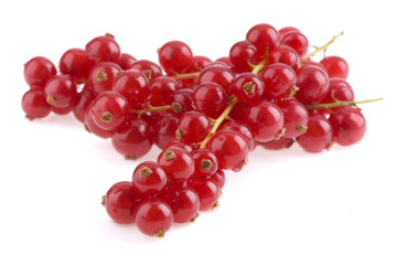 Red currant
