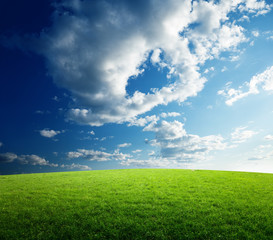 field of grass and sunset