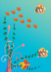 different fishes in sea illustration