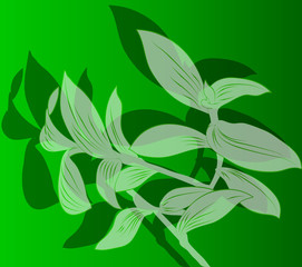 vector background with flowers