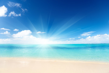sand of beach caribbean sea