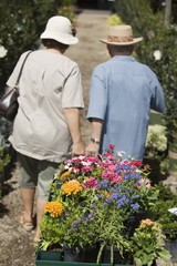 senior couple walking in plant nursery pulling cart of flowers back view