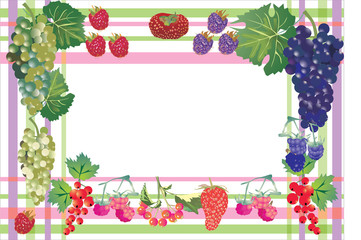 berries frame on light background