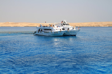 Snorkeling from the boat on Red Sea