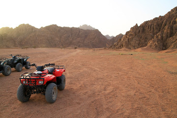 Quads trip in Sinai mountains- Egypt