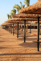 Fototapeta premium Holiday parasols