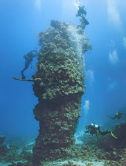 Divers on  the coral reef