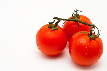 Tomatoes