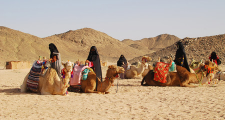 camels