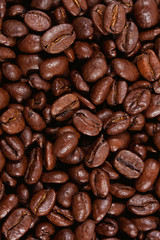 High quality fresh roasted coffee beans