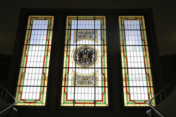 CRISTALERA de la Facultad de Medicina DE GRANADA