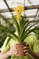 young man holding exotic potted plant in front of face