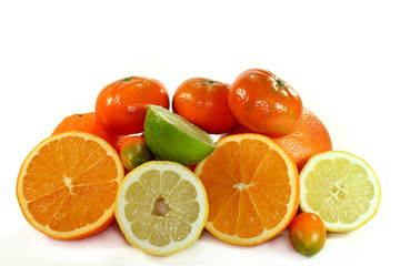 Citrusfrüchte