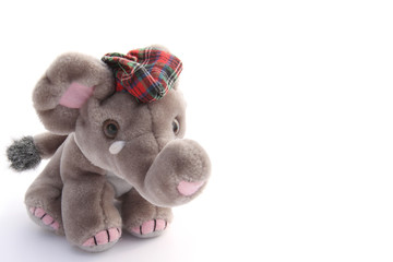 Peluche