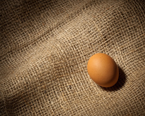 chicken egg