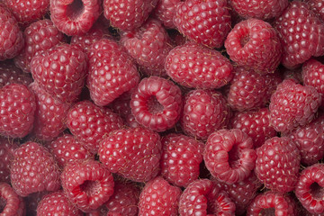 Fresh raspberries full frame © Picture Partners