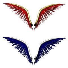 Angelwings red blue