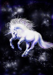 Fototapeta na wymiar White unicorn
