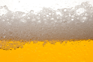Bier