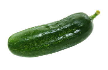 Single cucumber