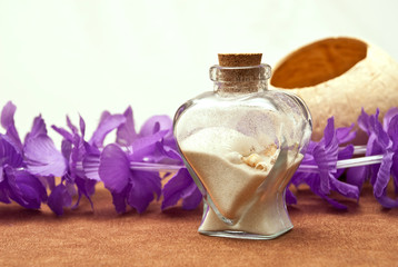 Heart Decor with Shells and Sand