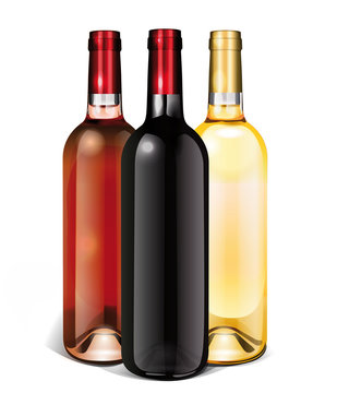 bouteilles de bordeaux rouge, rosé, blanc sans étiquette