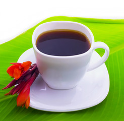 Cup of coffee and red flower