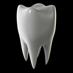 isolated clean molar tooth
