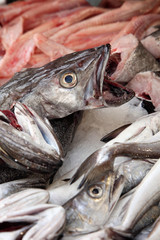 Au marché : Merlans