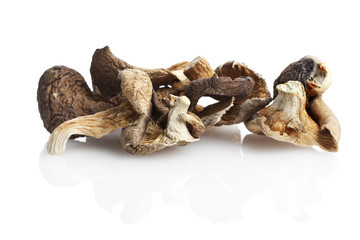 getrocknete shitake pilze isoliert auf weiß