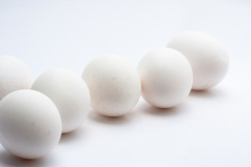 frische Eier