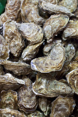 Coquilles d'huitres sur le port