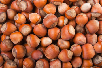 Hazelnut food
