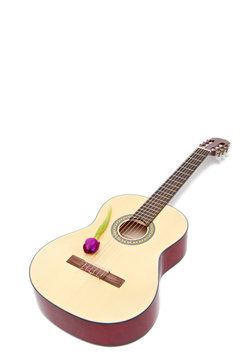 a yellow acoustic guitar isolated on white