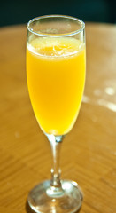 Glass of Fresh Squeezed Orange Juice