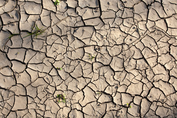 cracked dry soil background