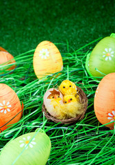 easter eggs and chickens in grass