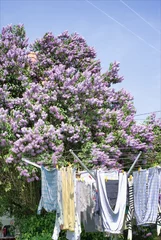 Photo sur Plexiglas Lilas sèche linge et lilas