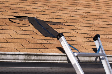 Damaged Roof Shingles Repair - 21345029