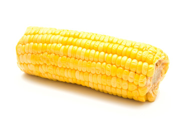 Corn on white background