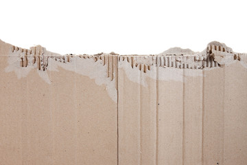 Piece of torn cardboard