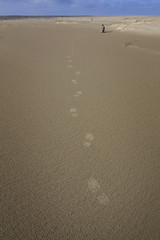 footprints in the sand