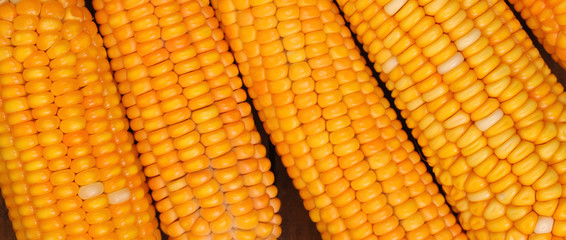 Corn