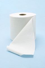 White toilet roll