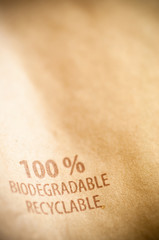 paper - 100 % recyclable and biodegradable material