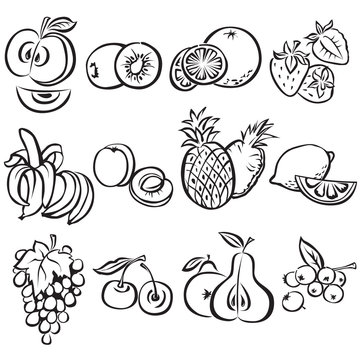 Stylized fruit vector set on a white background