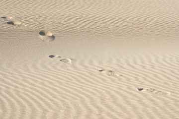Fototapeta na wymiar spuren im sand