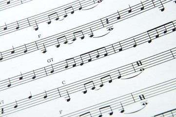 Fototapeta premium Noten